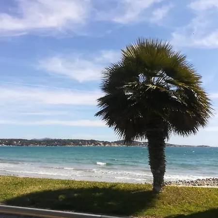 Charmant T2 A Avec Grande Terrasse *